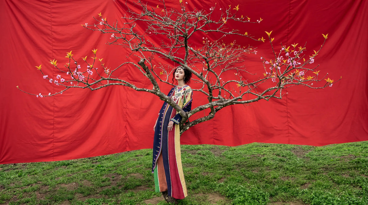 A model in a striped Chula gown before a red cloth backdrop, beside a branch of apricot blossom